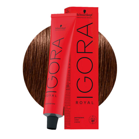 Schwarzkopf Igora Royal 6-68 Blond Foncé Chocolat Rouge 60ml - coloration permanente