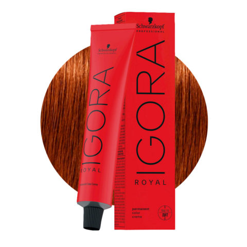 Schwarzkopf Igora Royal 6-77 Blond Foncé Cuivré Extra 60ml - coloration permanente