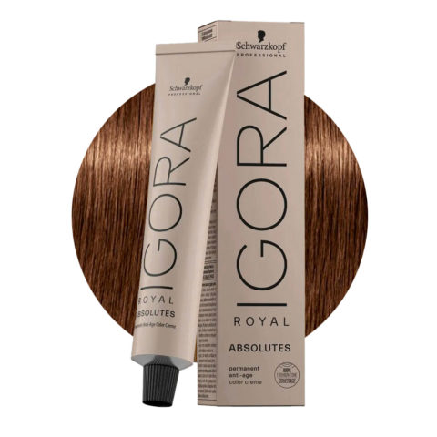 Schwarzkopf Igora Royal Absolutes 6-60 Blond Foncé Chocolat Naturel 60ml - coloration permanente