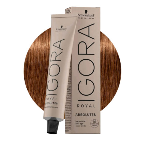 Schwarzkopf Igora Royal Absolutes 7-60 Blond Moyen Chocolat Naturel 60ml - coloration permanente