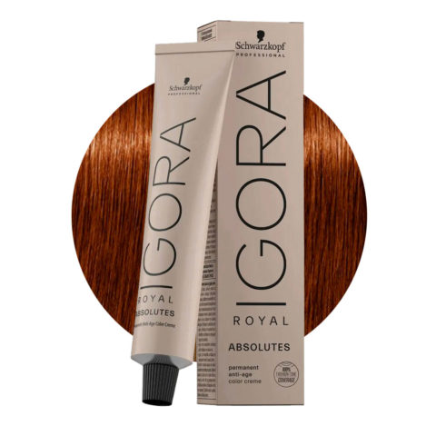 Schwarzkopf Igora Royal Absolutes  6-70 Blond Foncé Cuivre Naturel 60ml - coloration permanente