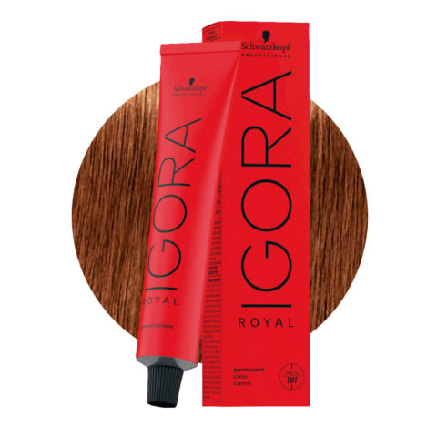 Schwarzkopf Igora Royal 7-76 Blond Cuivré Chocolat Moyen 60ml - coloration permanente