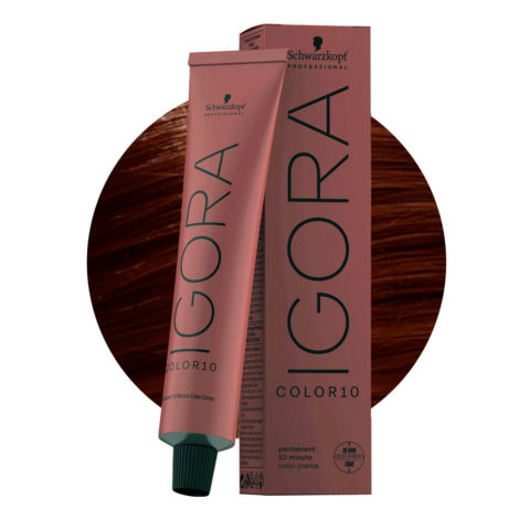 Schwarzkopf Igora Color10 6-65 Blond Foncé Chocolat Doré 60ml - coloration permanente en 10 minutes