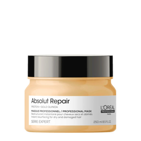 Paris Serie Expert Absolut Repair Mask 250ml - masque cheveux abîmés