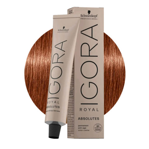 Schwarzkopf Igora Royal Absolutes 7-560 Blond Moyen Doré Naturel Chocolat 60ml - coloration permanente