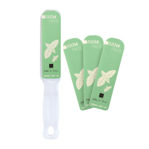 Labor Râpe Avec Abrasifs Interchangeables G. 100/180 + Pièces de rechange 10pcs - arôme de menthe
