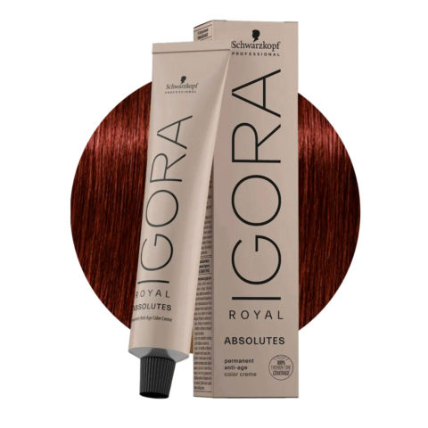 Schwarzkopf Igora Royal Absolutes 5-80 Marron Clair Naturel Rouge 60ml - coloration permanente