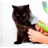 Moser Animal Premium Slicker Brush - brosse carde premium