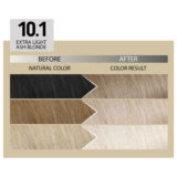 Alfaparf Milano Il Salone Plex Rebuilder Color Kit 10.1 Blond Extra Clair Cendré  - coloration permanente en crème