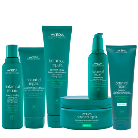 Système restructurant complet Aveda Botanical Repair