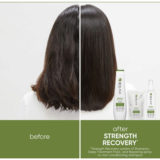 Biolage Strength Recovery Shampoo 250ml - shampooing pour cheveux endommagés