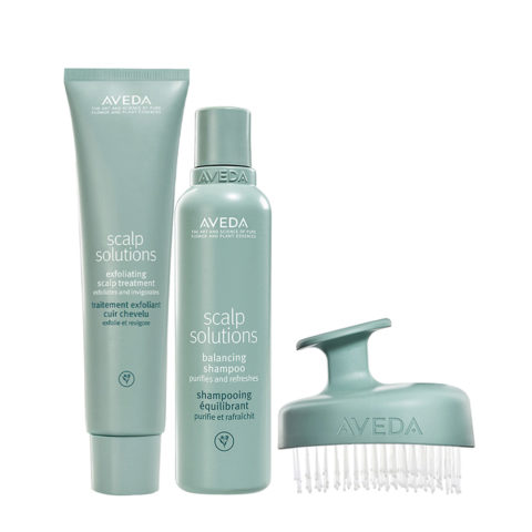 Aveda Scalp Solutions Exfoliating Scalp Treatment 150ml Shampoo 200ml Scalp Massager