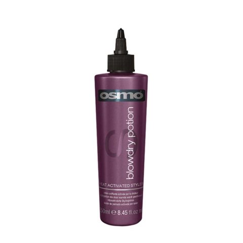 Styling & Finish Blowdry Potion 250ml - lotion coiffante