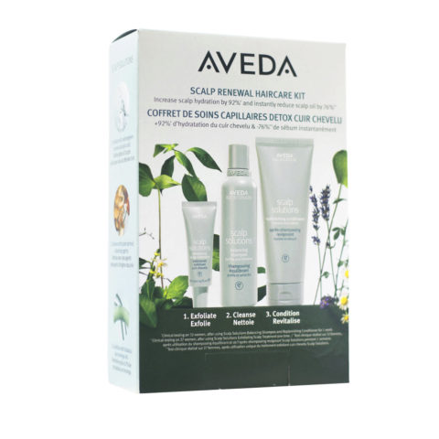 Aveda Scalp Renewal Haircare Kit - soin purifiant